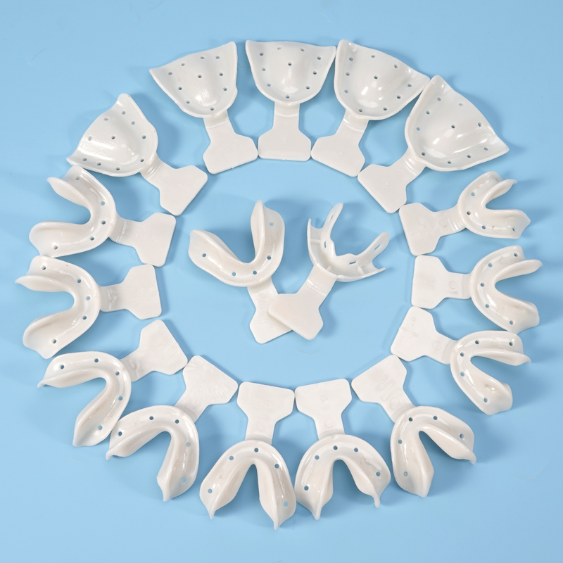 17개 치과 인상 트레이 세트 무치부 환자용 턱 홀더  - Teeth Whitening Trays 리뷰 및 가격