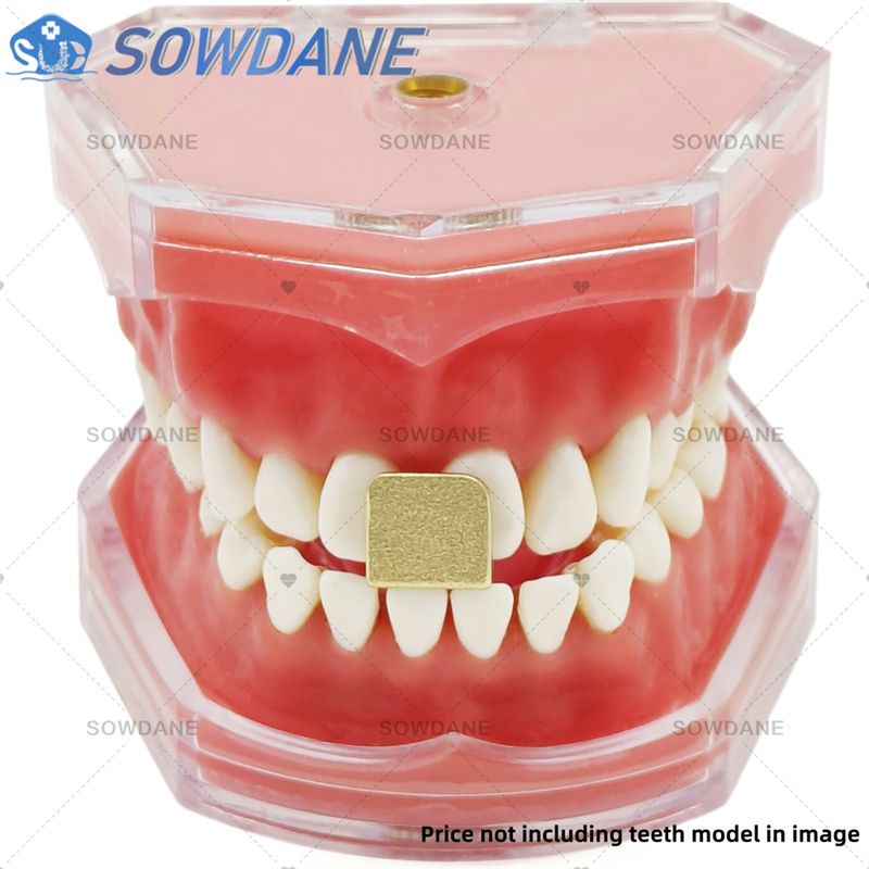 치과용 알루미늄 합금 오토클레이브 가능 치과용 트레이  - Teeth Whitening Trays 리뷰 및 가격