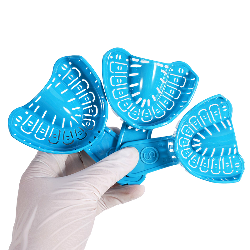 6개입 치과용 임플란트 인상 트레이, 탈착식 부분 몰드 - Teeth Whitening Trays 리뷰 및 가격